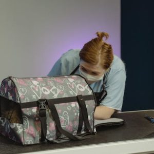 Seguro de Mascotas Premium